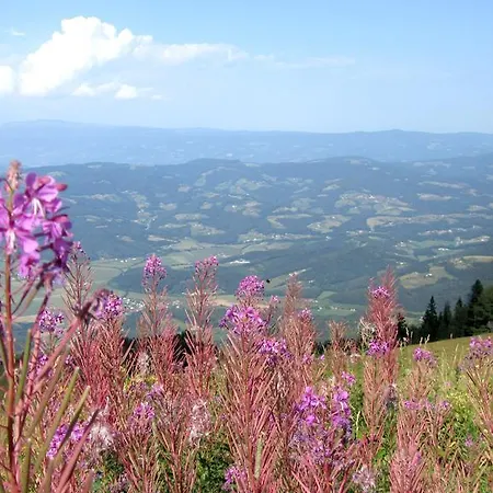 公寓 梅利塔度假屋酒店