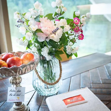 梅利塔度假屋酒店 * 布莱堡