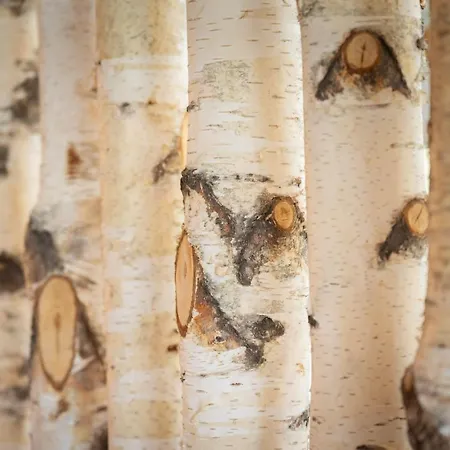 梅利塔度假屋酒店 公寓