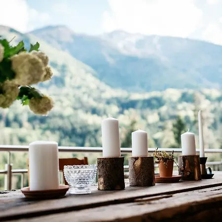 梅利塔度假屋酒店 *